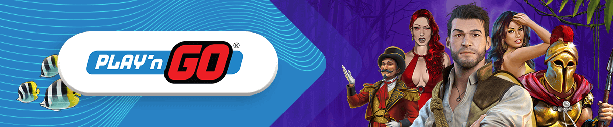Play N Go Banner
